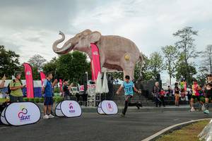 BIB: 
                            <button type="button" onclick="openModal(26528258)" class="btn btn-primary btn-sm float-right btn-popup" data-toggle="modal" data-target=".modal-high-quality">
                        <i class="fas fa-shopping-cart"></i> Add to Cart
                    </button>
                                            <button type="button" onclick="isThisMe(26528258, true)" class="btn btn-success btn-sm float-right btn-popup btn-isme hidden" data-toggle="tooltip" data-placement="bottom" title="นี่คือรูปของคุณใช่ไหม คลิกที่นี่เพื่อเอาเข้าอัลบั้ม">
                        <i class="fas fa-plus"></i> Add to album
                    </button>
                    <button type="button" onclick="isThisMe(26528258, false)" class="btn btn-warning btn-sm float-right btn-popup btn-isnotme hidden">
                        <i class="fas fa-ban"></i> Remove from album
                    </button>